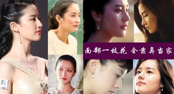 細(xì)看娛樂圈的女明星，無一不是**精致的鼻子。