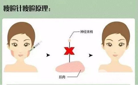 B****多久看到果、B****價格多少