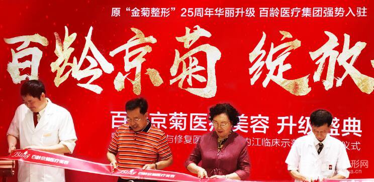 內江金菊整形果怎么樣？開年全新價格表推出	