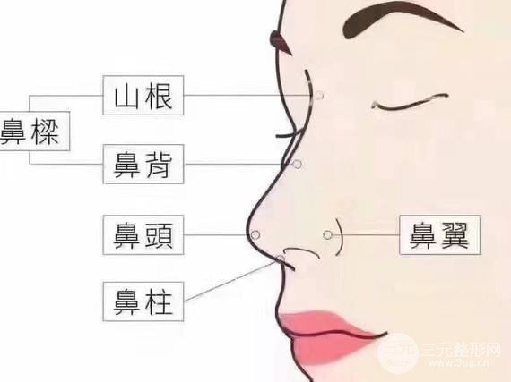 鼻部綜合整形價(jià)格多少錢 主要受3點(diǎn)因素影響~