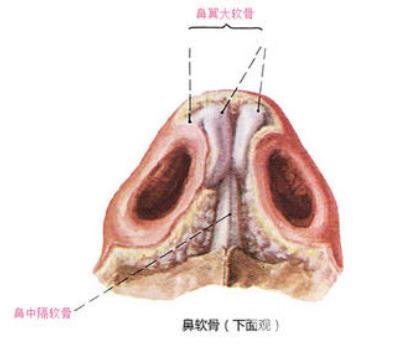 手術(shù)后該注意什么？