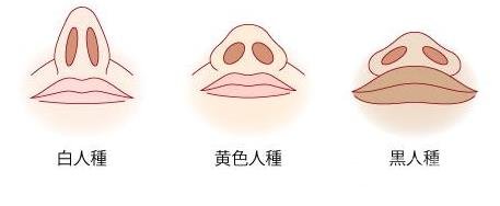 鼻頭縮小術(shù)前注意事項(xiàng)