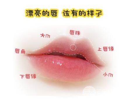 什么是m唇?