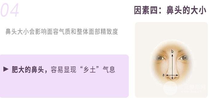 蒜頭鼻整形