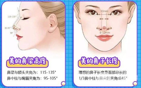 耳軟骨墊鼻尖多久消腫