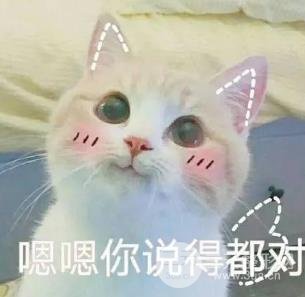 被石原里美模仿，卻從未被超越的女神，為何7年后讓人念念不忘？