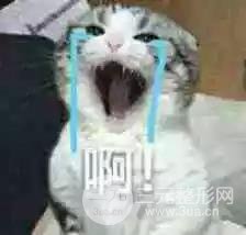 明星憑什么胖著玩玩說瘦就瘦？靠吃減肥藥嗎？