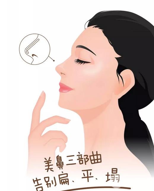 假體隆鼻果圖