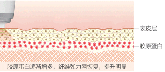 熱瑪吉原理