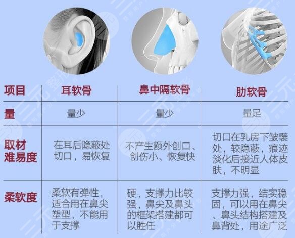 項(xiàng)目簡(jiǎn)介