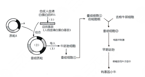 恩喜整形醫(yī)院細(xì)胞重組安多果盤點(diǎn)【真人圖】