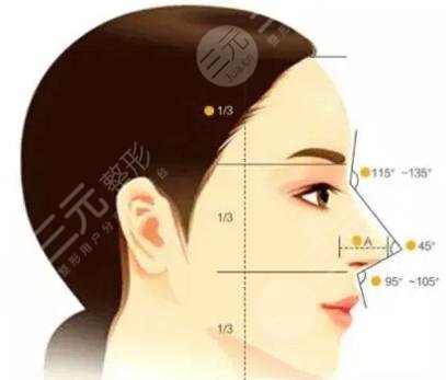 自體軟骨隆鼻術多少錢