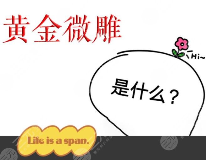 黃金微雕吸脂
