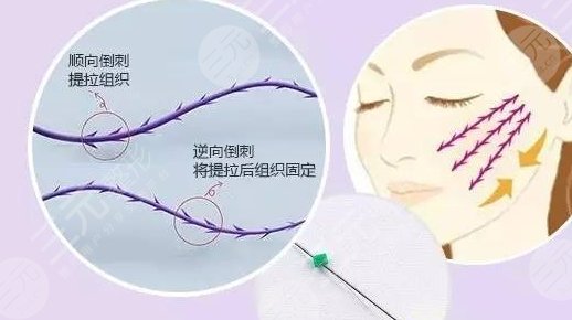 提升抗皺是什么?