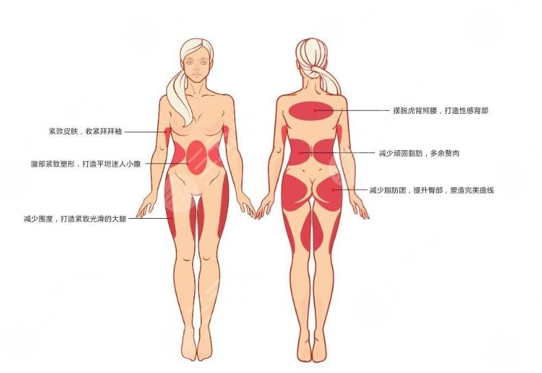 歐洲之星的果有哪些?溶脂