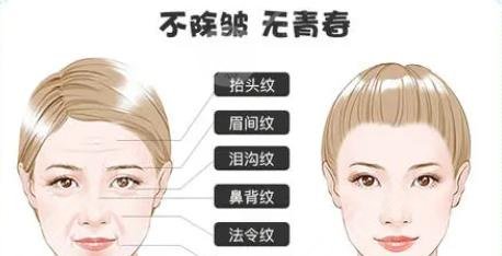 皺紋產(chǎn)生