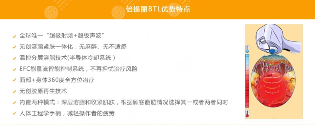 btl愛(ài)麗絲