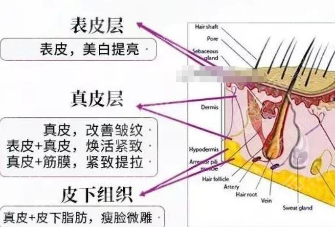 5gmax極速提拉年齡層次