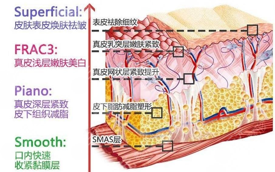 歐洲之星4d