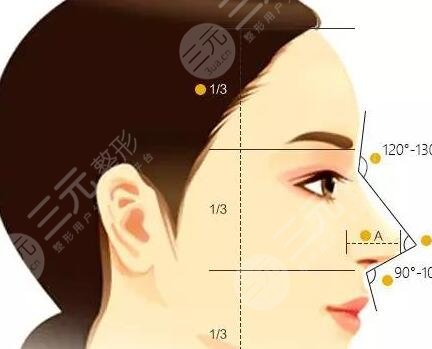 隆鼻整形圖片整形圖片照片對比