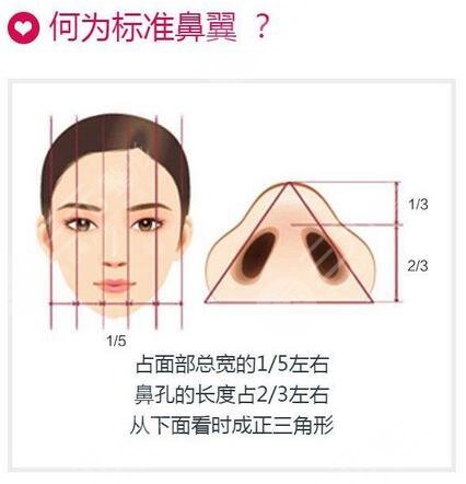 八大處范飛隆鼻整形圖片