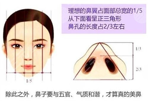 進(jìn)口膨體隆鼻案例反饋前