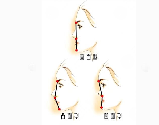 看臉型找鼻模板！小翹鼻還是微駝峰？2分鐘了解自己適合啥鼻型~