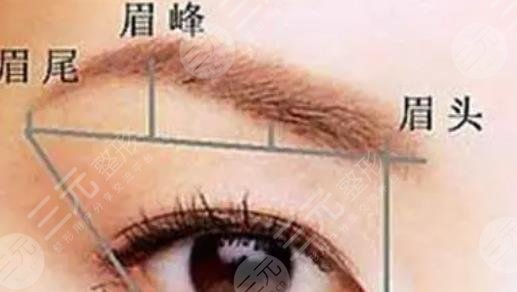 種植眉毛