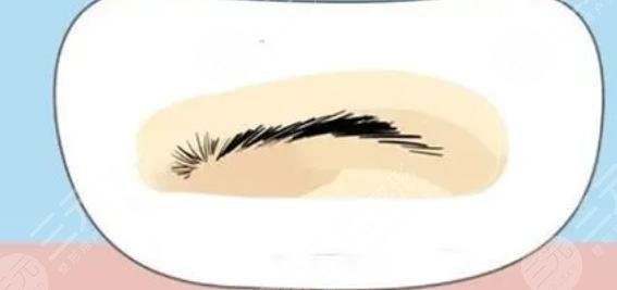 種植眉毛