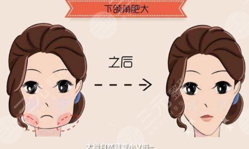 北京圣嘉榮科普信息介紹