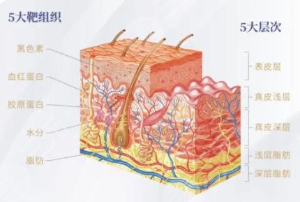 超聲炮
