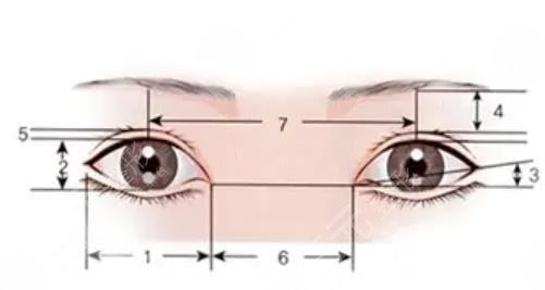 眉毛種植