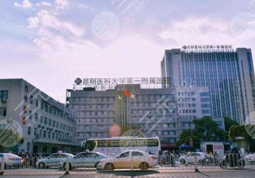 昆明醫(yī)科大學(xué)第一附屬醫(yī)院整形外科