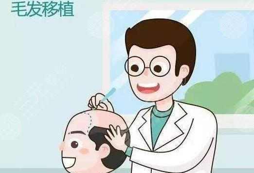 禿頂植發(fā)手術(shù)