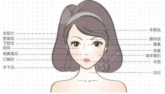 公主玻尿酸多少錢一支？價(jià)格大起底！