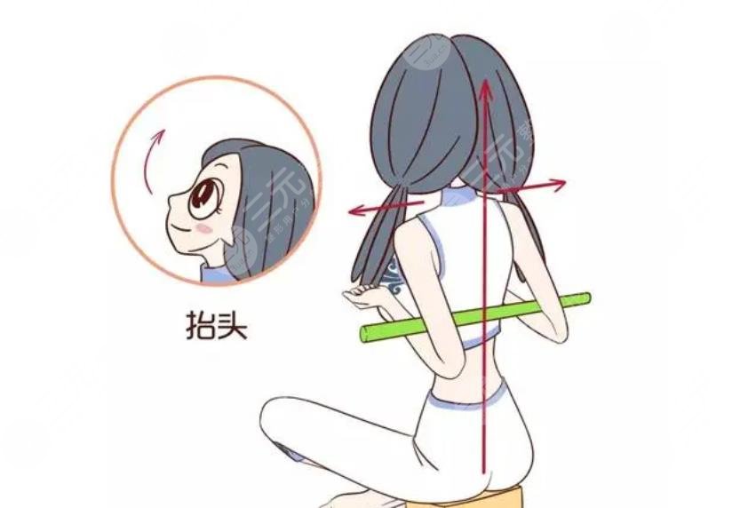 背部訓練基本動作