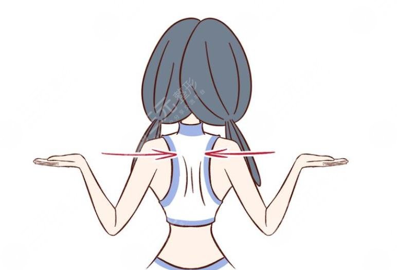 背部訓練