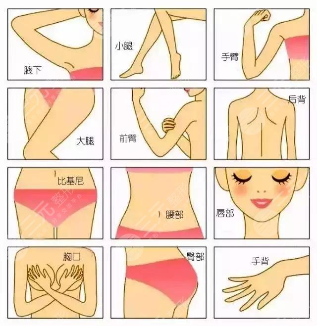 半導脫毛