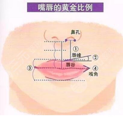 紋唇一到七天恢復(fù)圖片真實(shí)案例