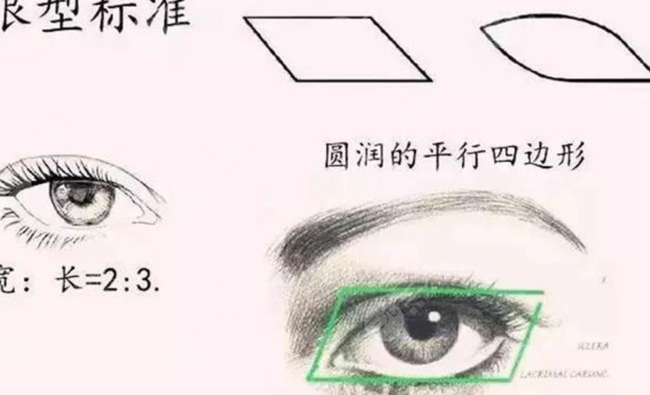 雙眼皮
