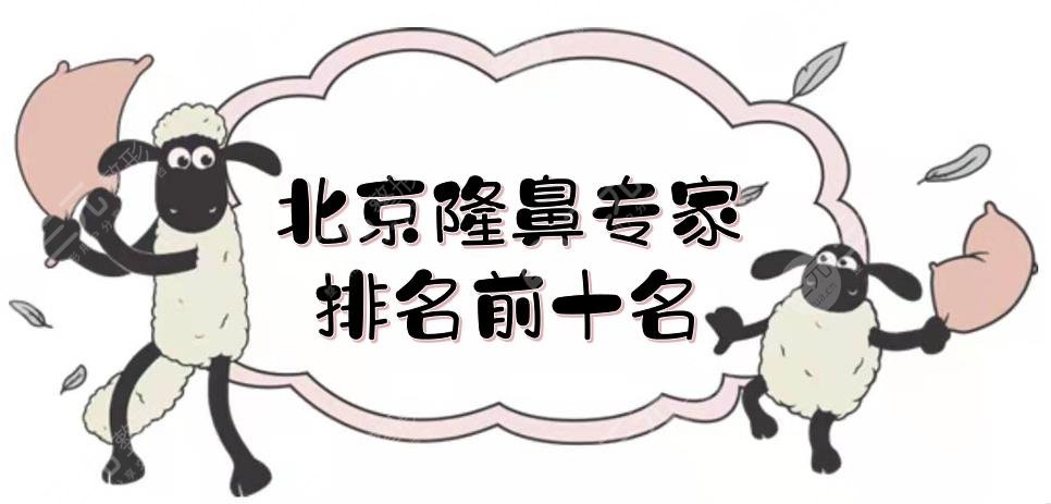 北京隆鼻專家排名前十名