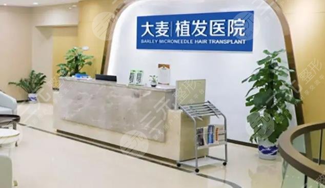 北京大麥微