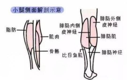 抽脂瘦小腿手術(shù)有哪些優(yōu)勢?