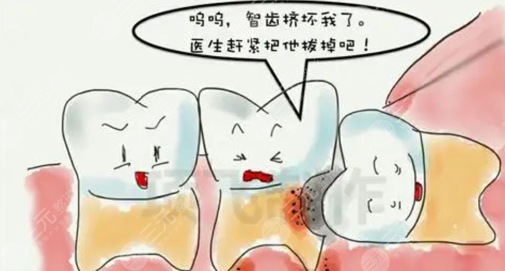 智齒
