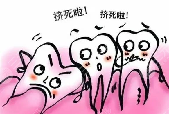 智齒