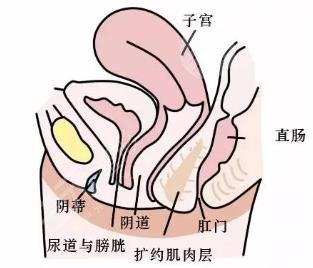 處女磨修復(fù)