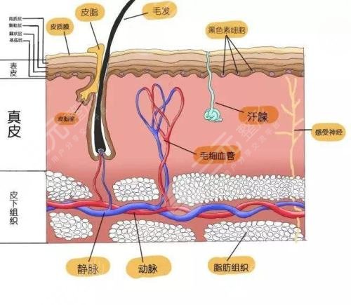 如何有緩解痤瘡?