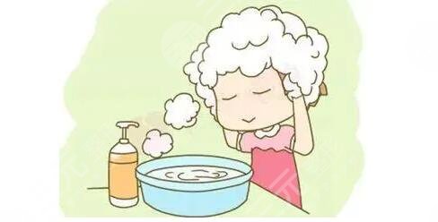 多久洗一次頭?