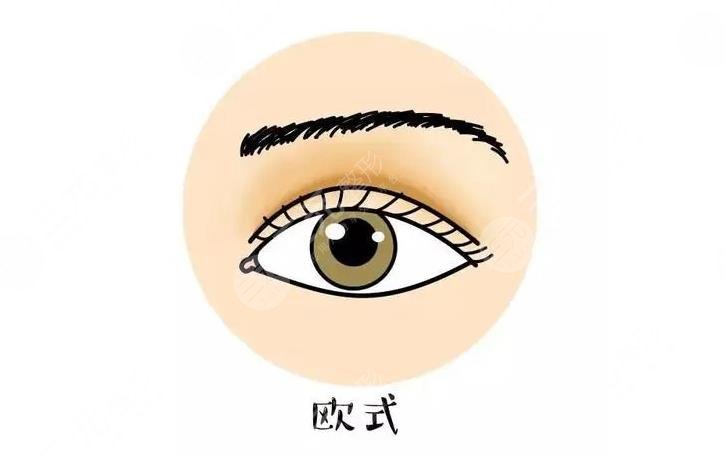 三點和歐式雙眼皮哪個好?看?