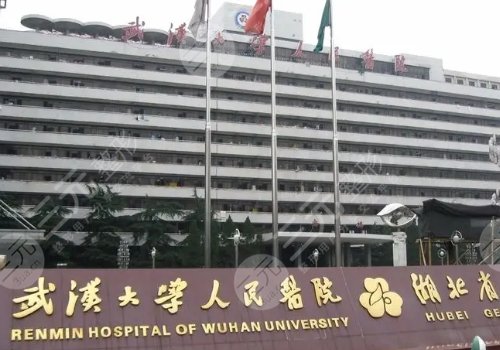 李愛林做鼻子怎么樣?